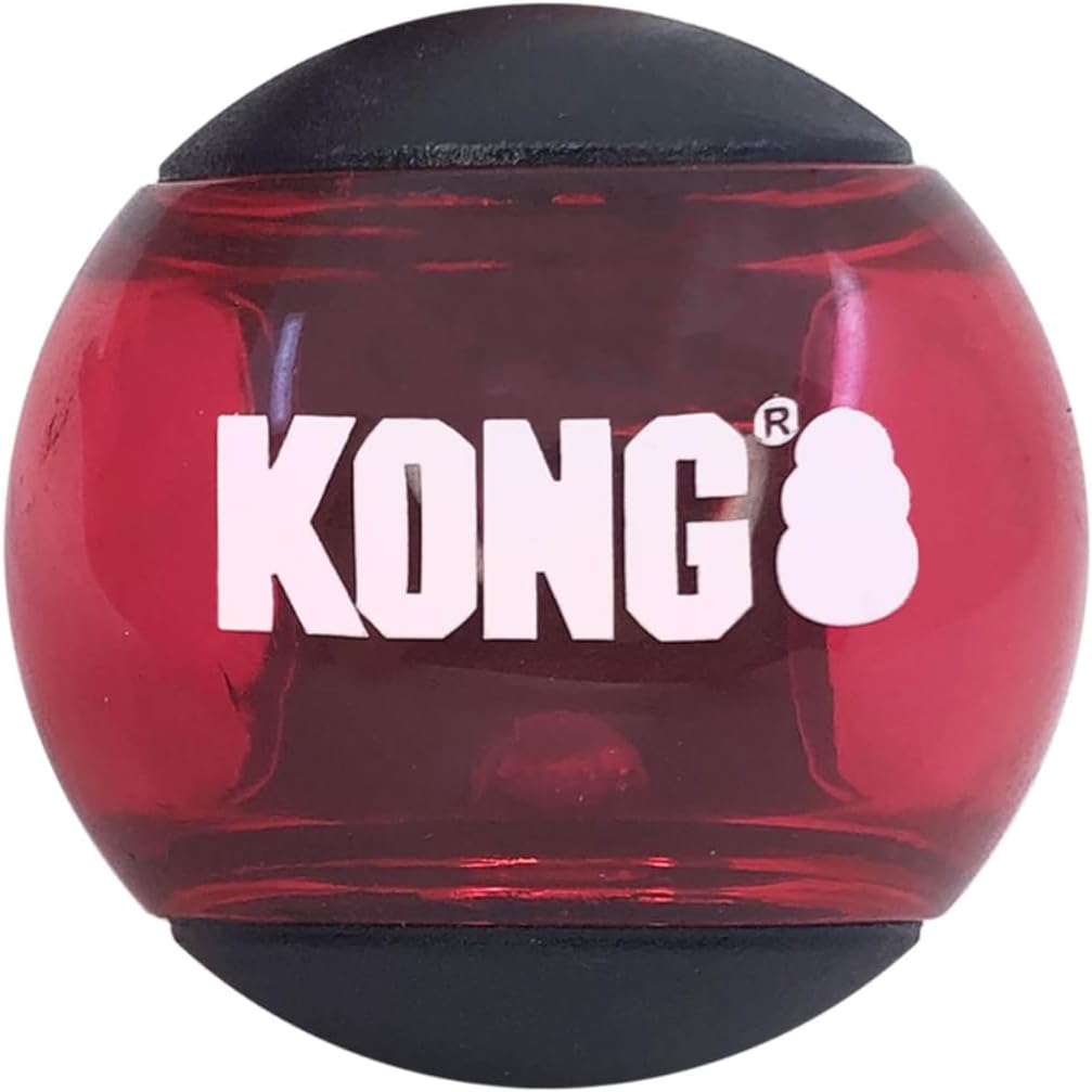 Kong Signature Ball Dog Toy
