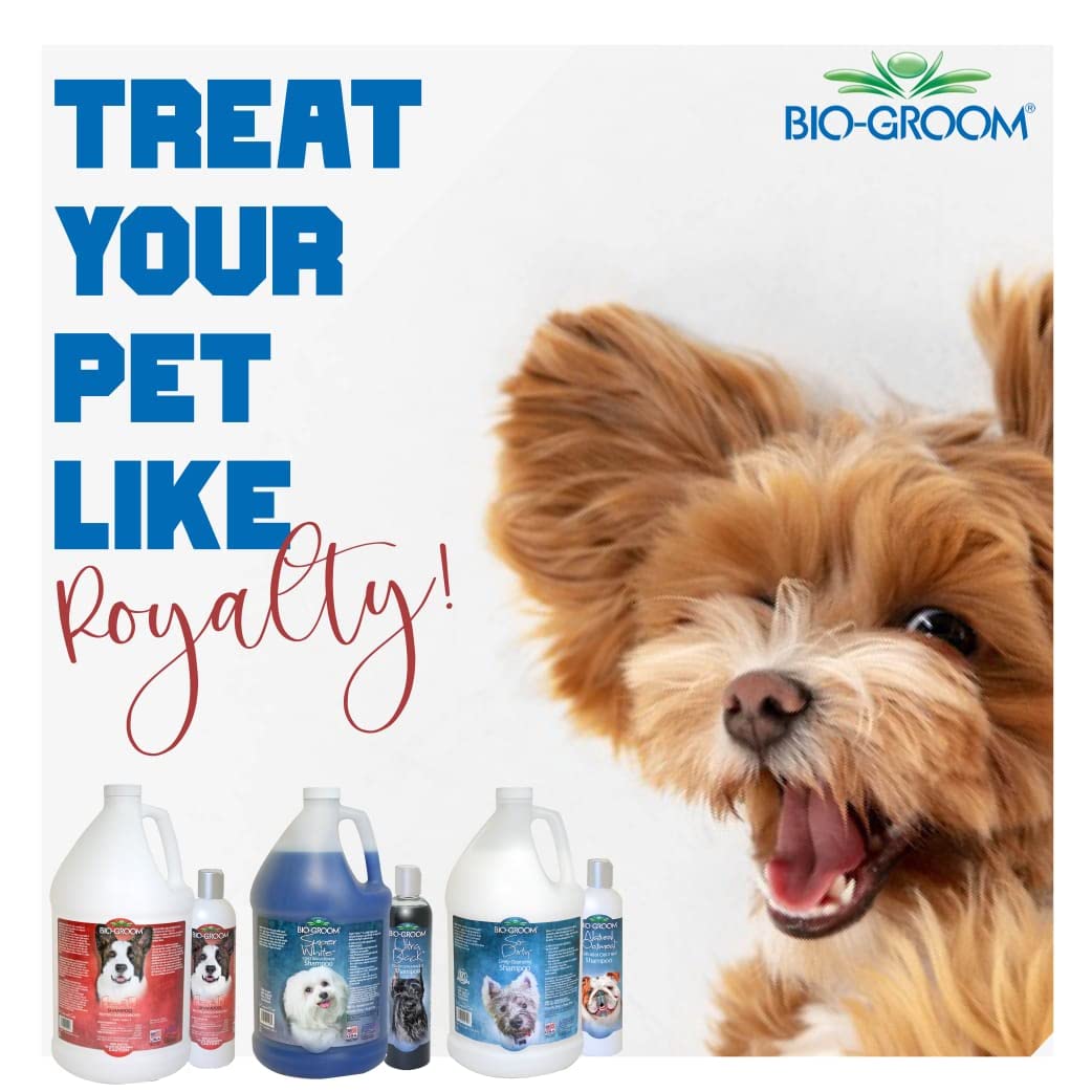 Bio Groom Wiry Coat Texturing Dog Shampoo