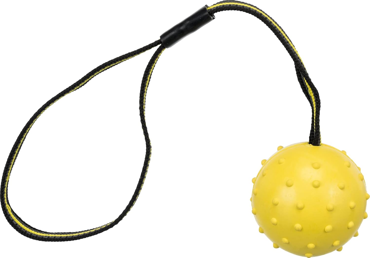 Trixie Ball on a Strap for Dogs