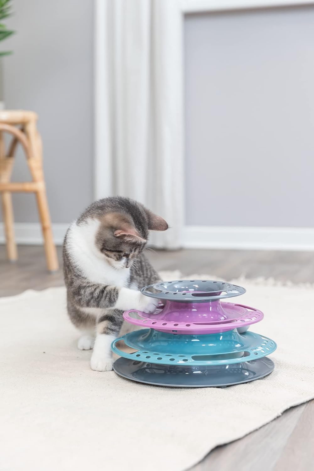 Trixie Cat Circle Tower Catch The Balls game for Cats