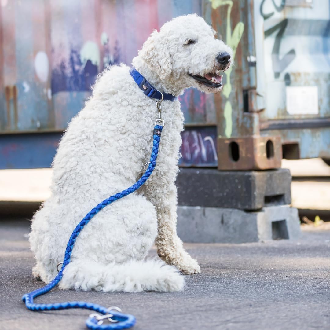 Trixie Cavo Adjustable Lead for Dogs