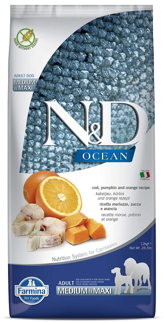 N&D Ocean Pumpkin Codfish and Orange Medium & Maxi Adult Dog Dry Food