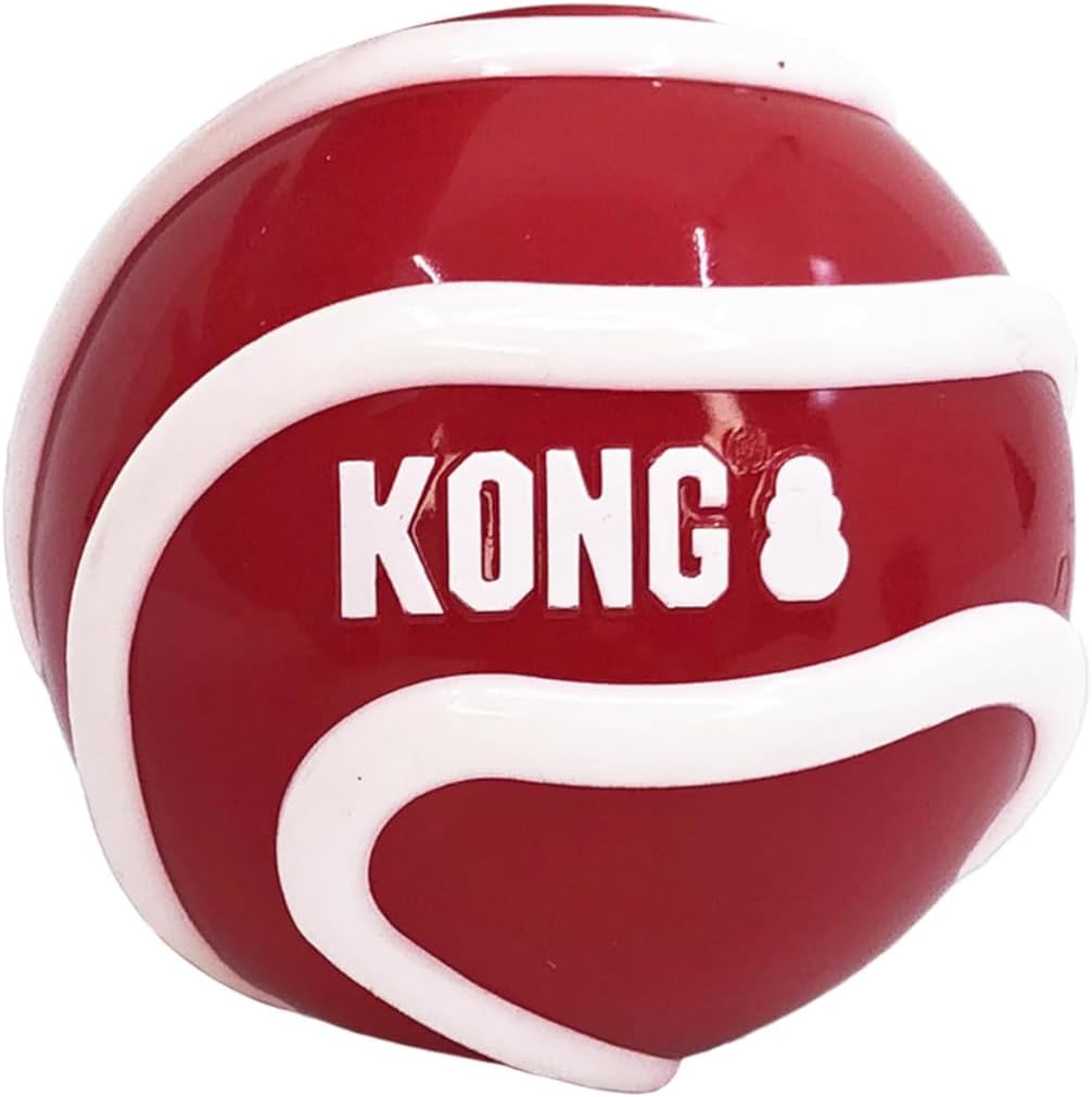 Kong Signature Ball Dog Toy