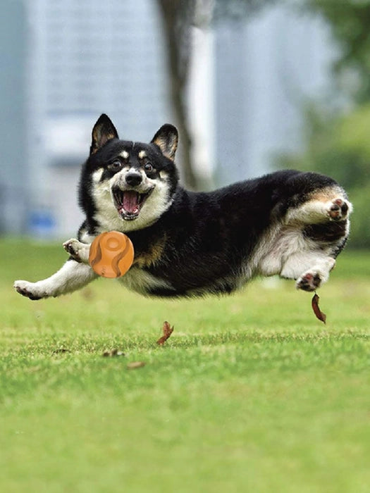 GiGwi Foamer TPR Rubber Ball Toy for Dogs