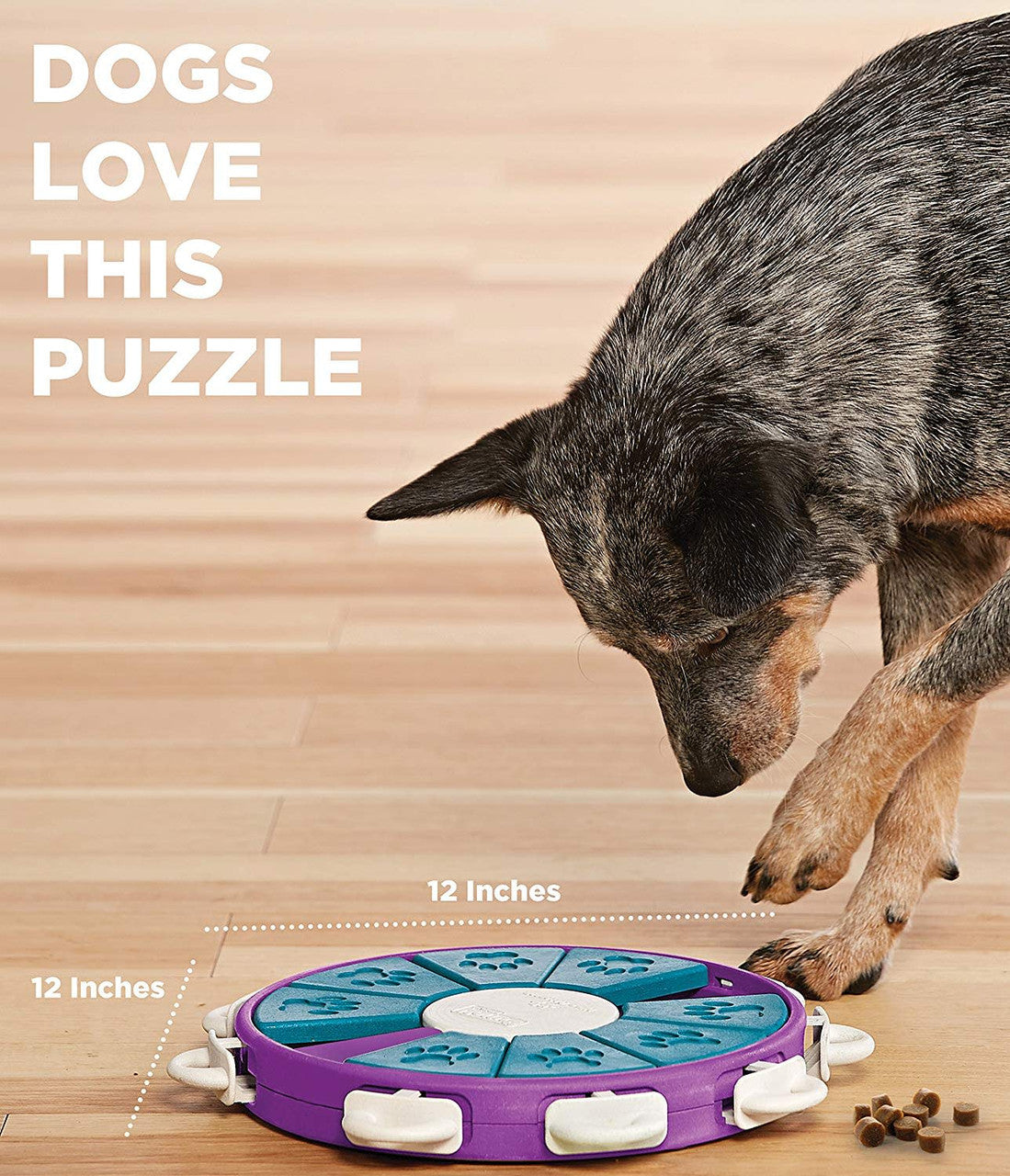 Outward Hound Nina Ottosson Dog Twister Puzzle Level 3 Toy for Dogs