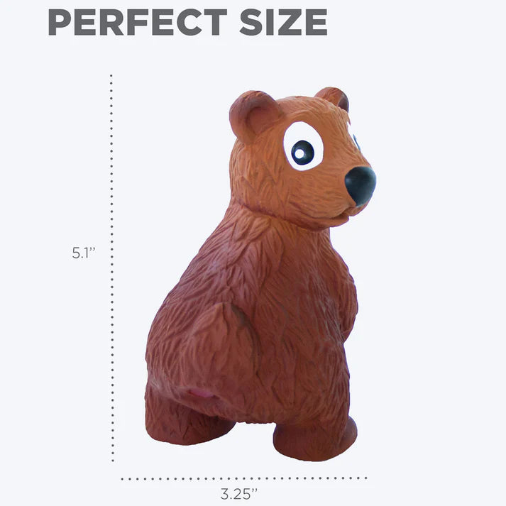 Outward Hound Tootiez Bear Slide Latex Dog Toy