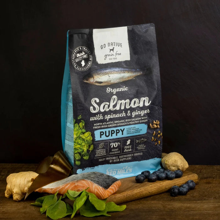Go Native Puppy Salmon Dog Dry Food