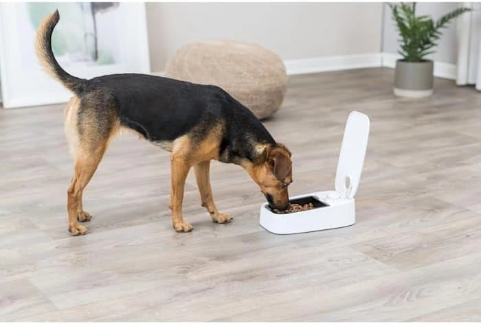 Trixie Automatic Food Dispenser for Small Dog & Cat