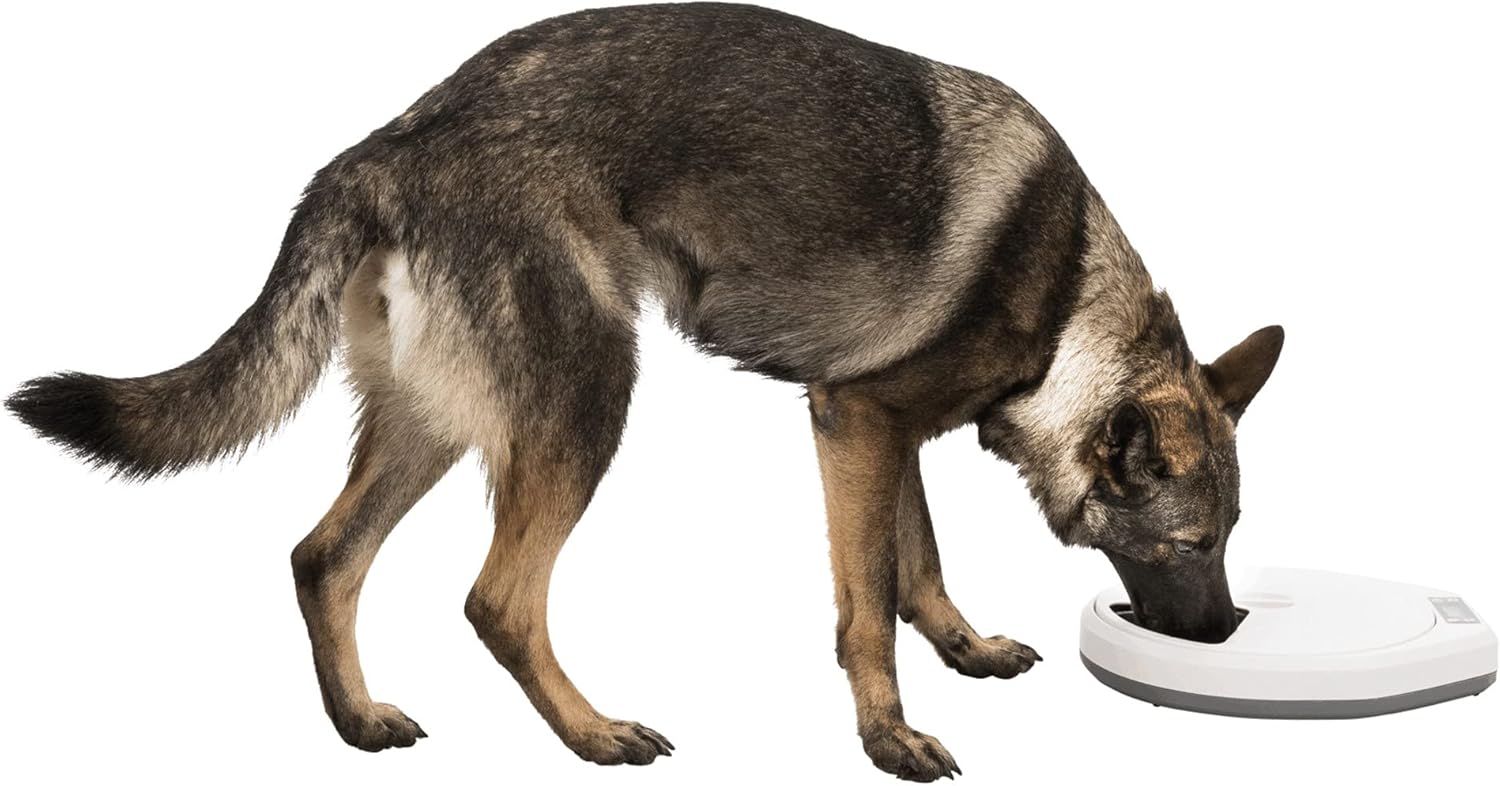 Trixie Automatic Food Dispenser