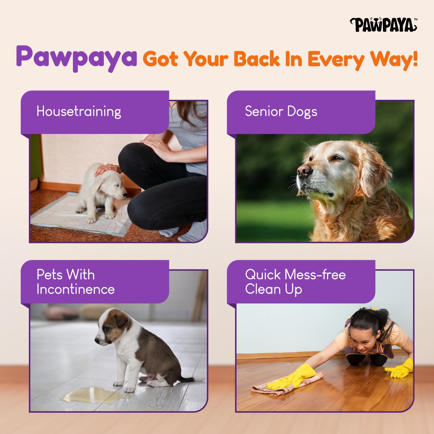 Pawpaya Super Absorb Powder for Dogs