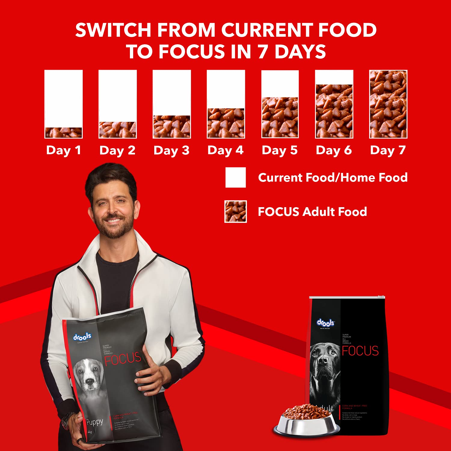 Drools Focus Adult Dog Dry Food