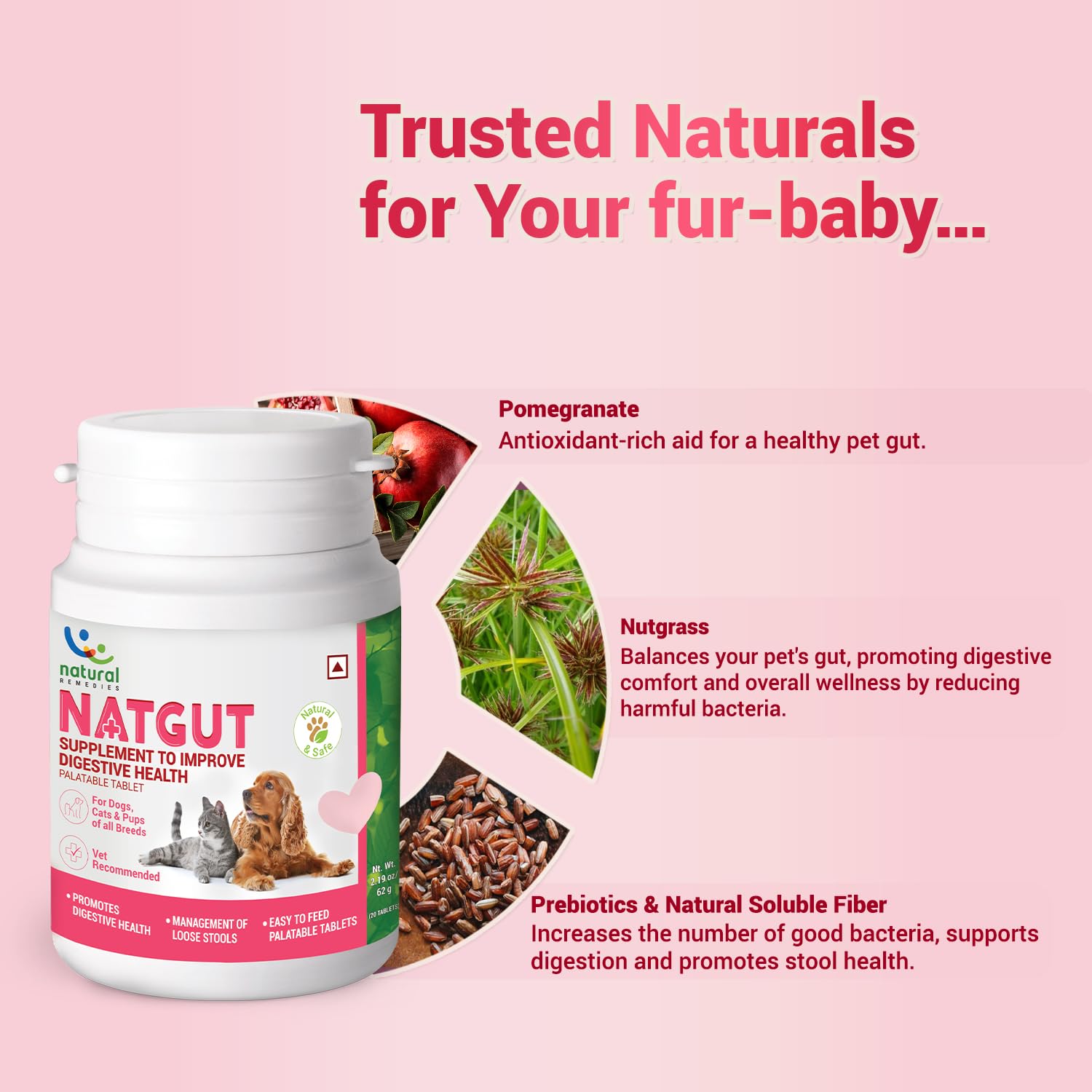 Naturals Natgut Tablets for Dogs & Cats