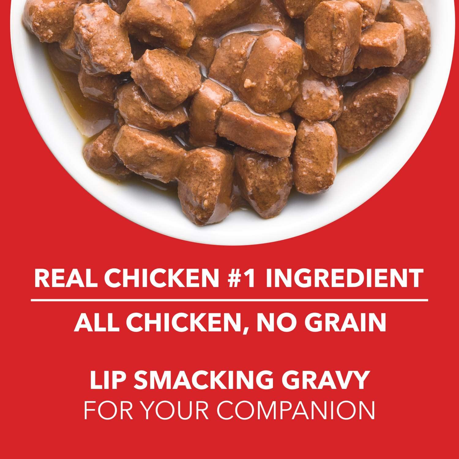 Drools Chicken Liver Chunks in Gravy Adult Dog Wet Food