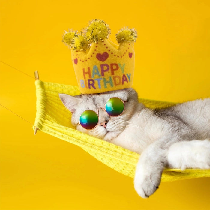 Fofos Birthday US Grade Organic Catnip Cat Toys