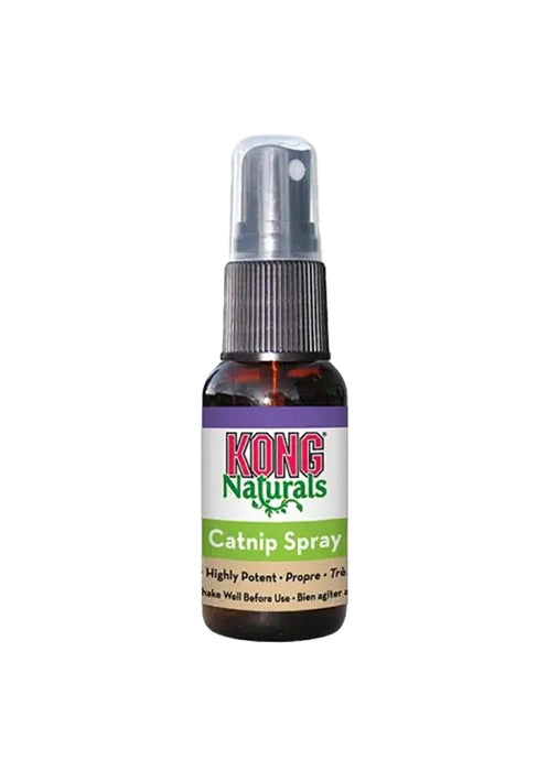 Kong Catnip Spray on Tempt Your Pet to Play