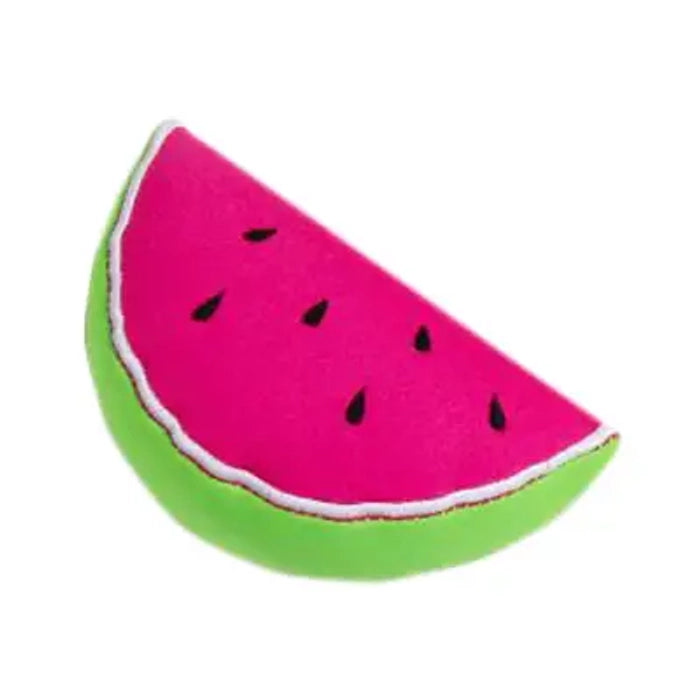 Pawise Floating Summer Toy