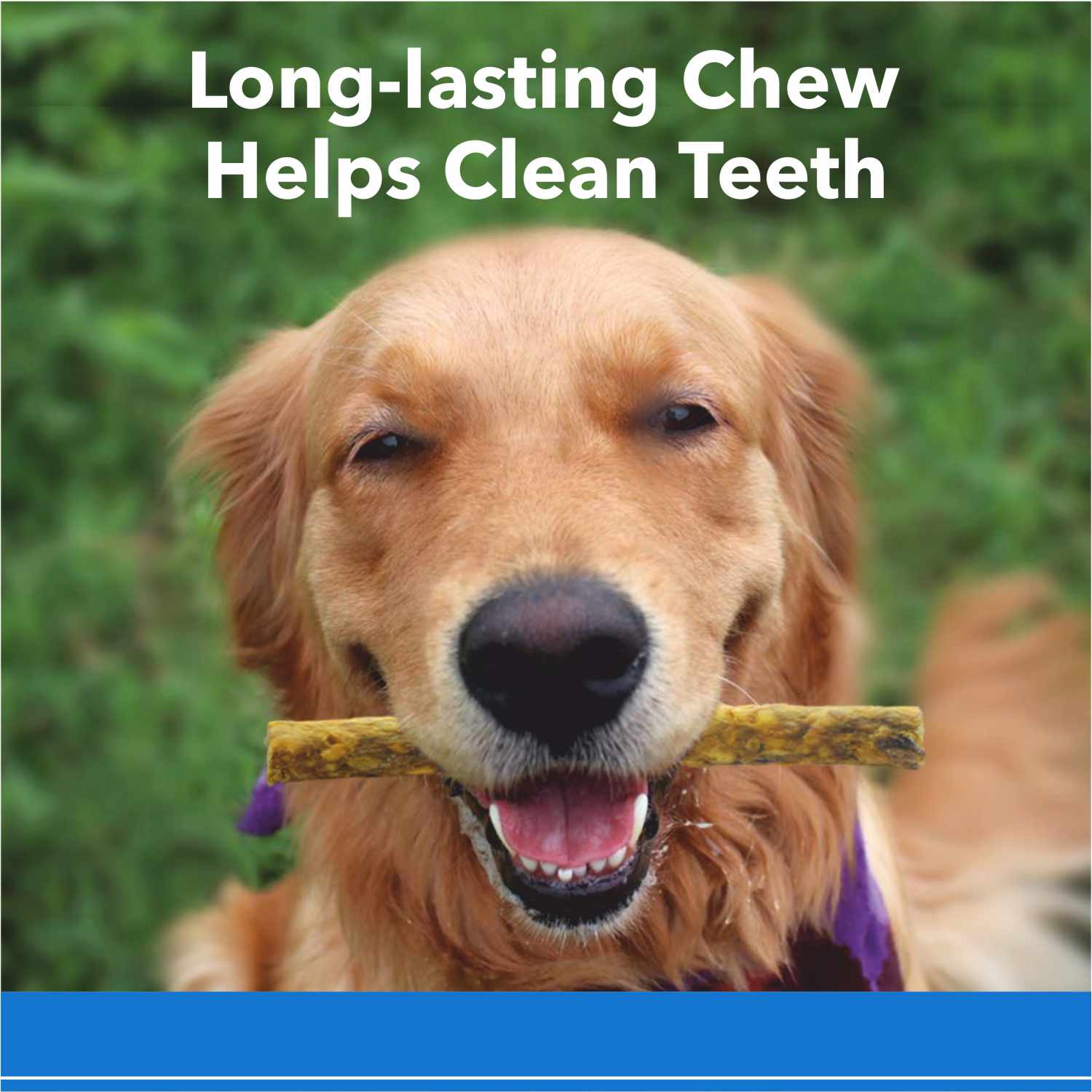 Purepet Munchy Sticks Dog Treats