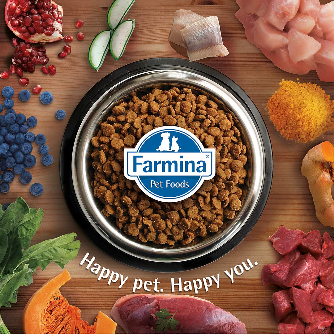 N&D Prime Lamb and Blueberry Adult Cat Dry Food