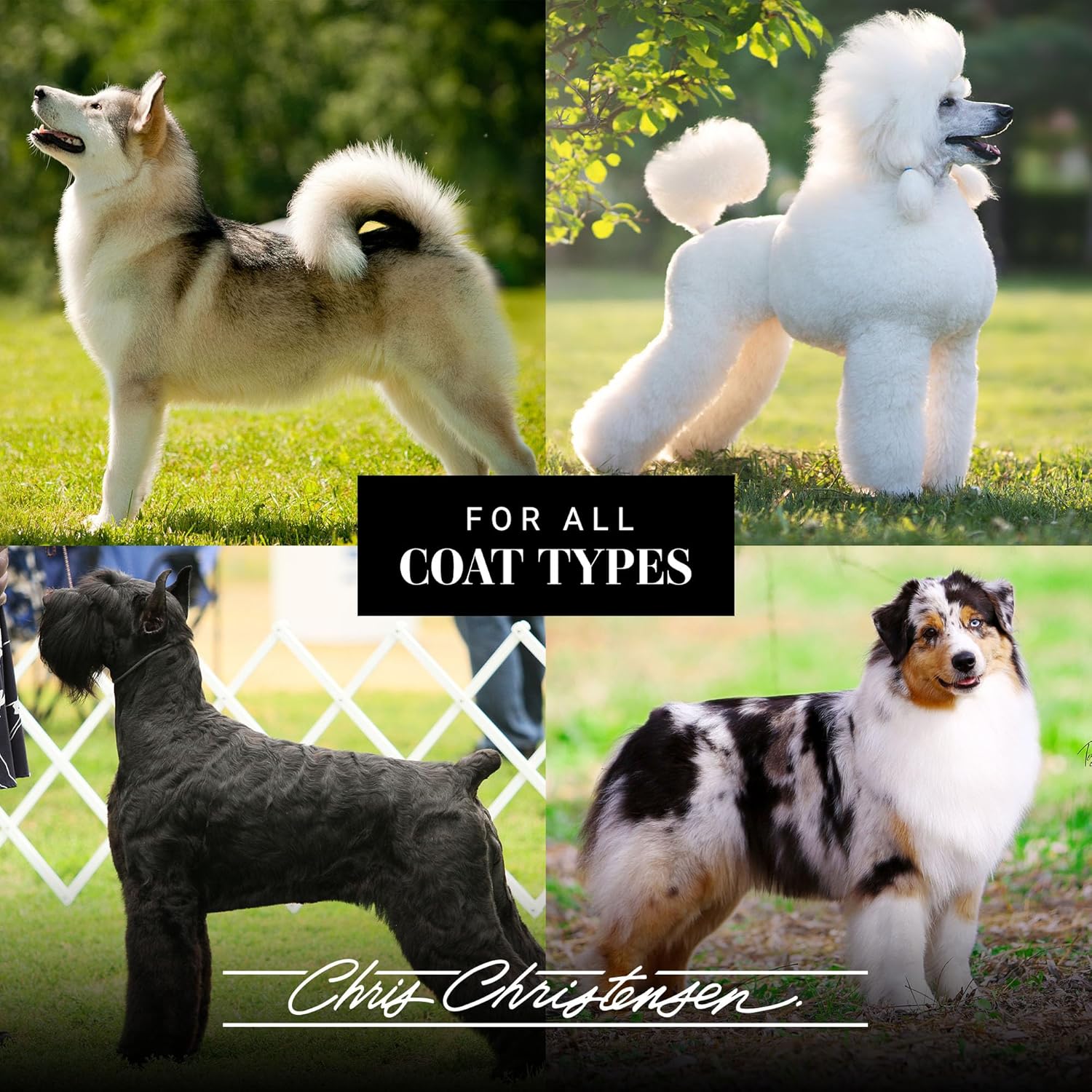 Chris Christensen Classic Series Curved Scissor