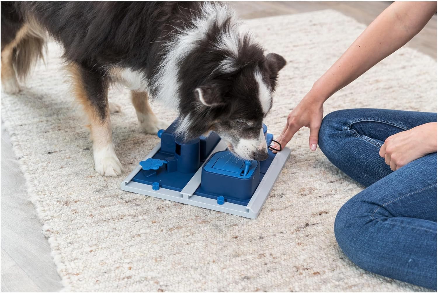 Trixie Activity Poker Box 2 Strategy Game for Dogs