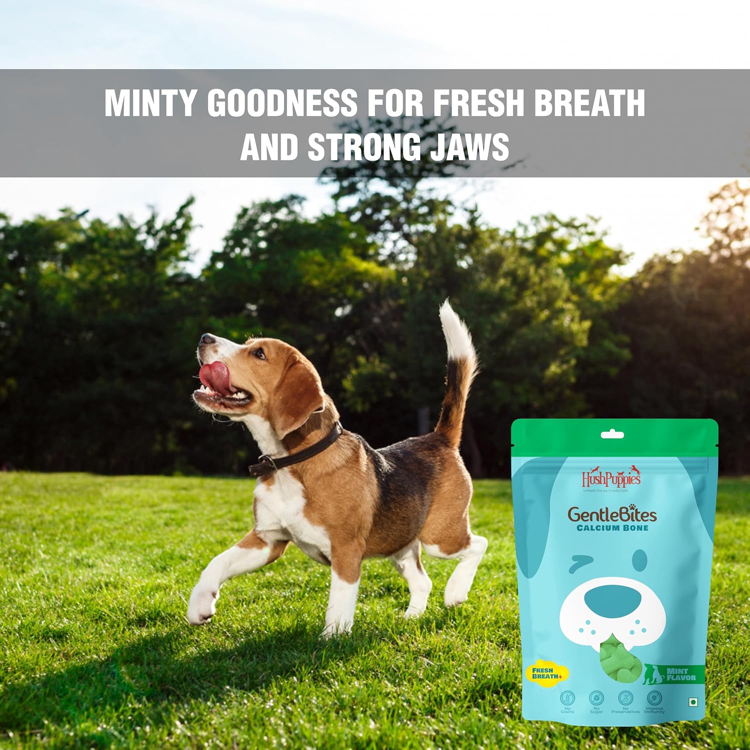 Hushpuppies Gentle Bites Calcium Bone