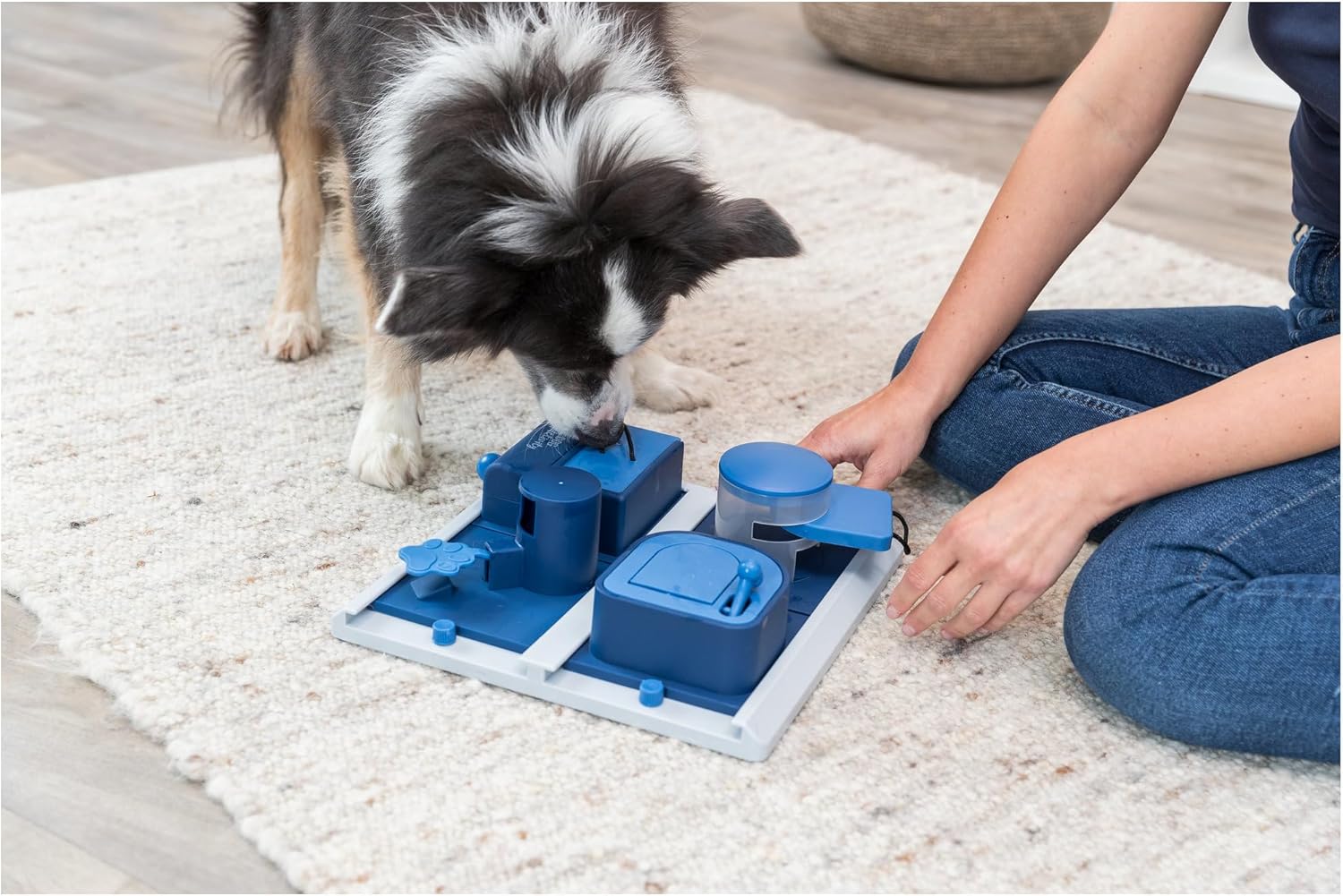 Trixie Activity Poker Box 2 Strategy Game for Dogs