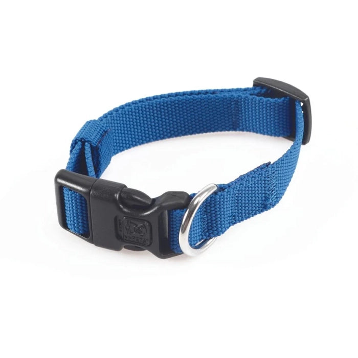 M-Pets Jolly Eco Collar for Dogs