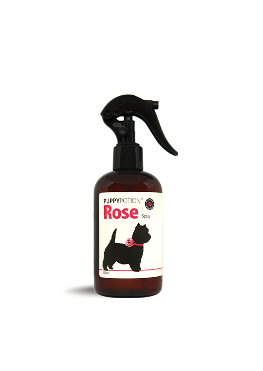 Puppy Potion Rose Spray for Dogs
