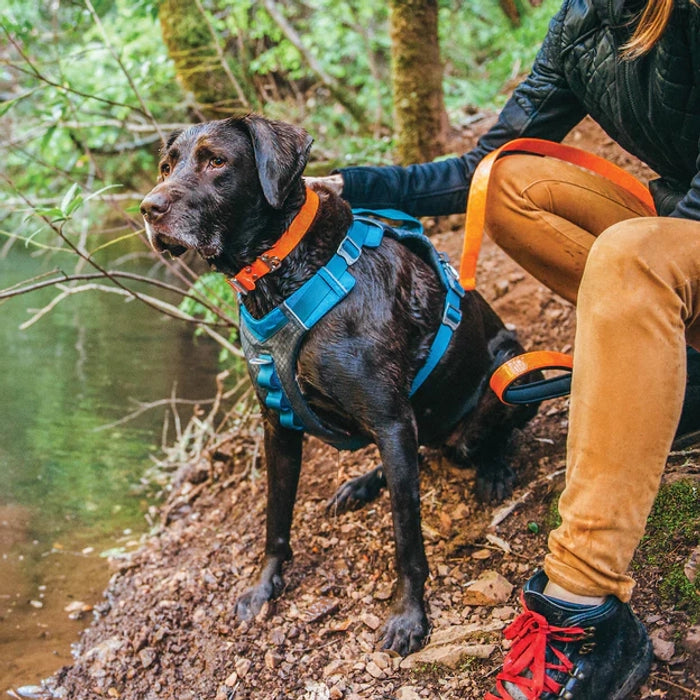 Kurgo Journey Air Dog Harness