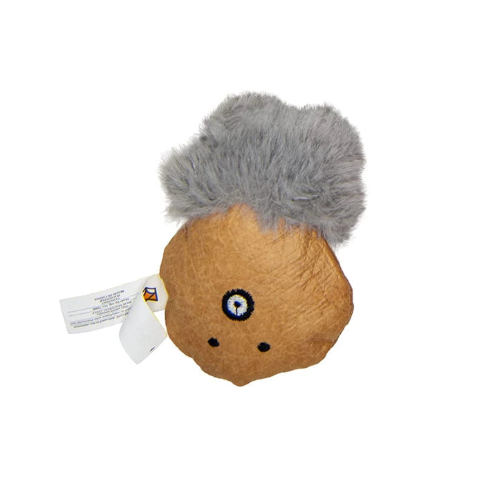 Fofos Magn Teaser Sealife Interactive Cat Toy