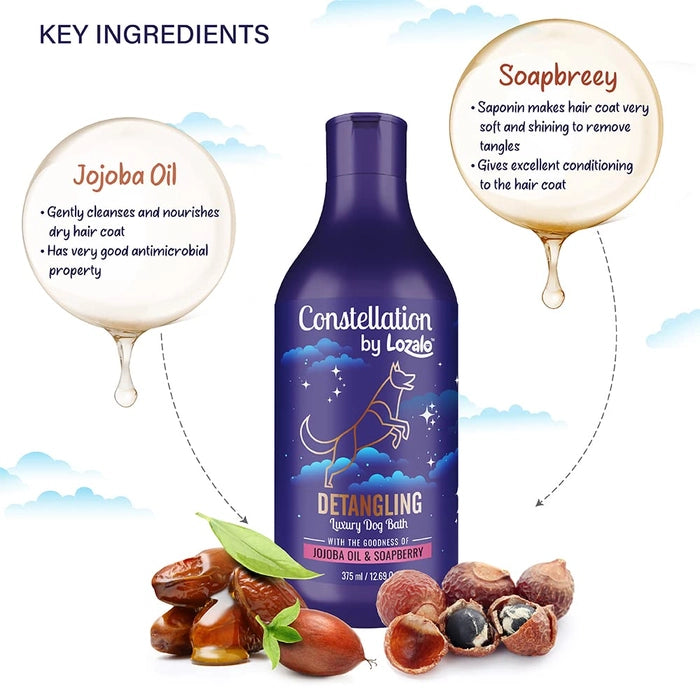 Lozalo Const Calming Cat Shampoo
