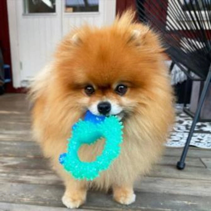 Petstages Cutie Hedgehog Dog Chew Toy