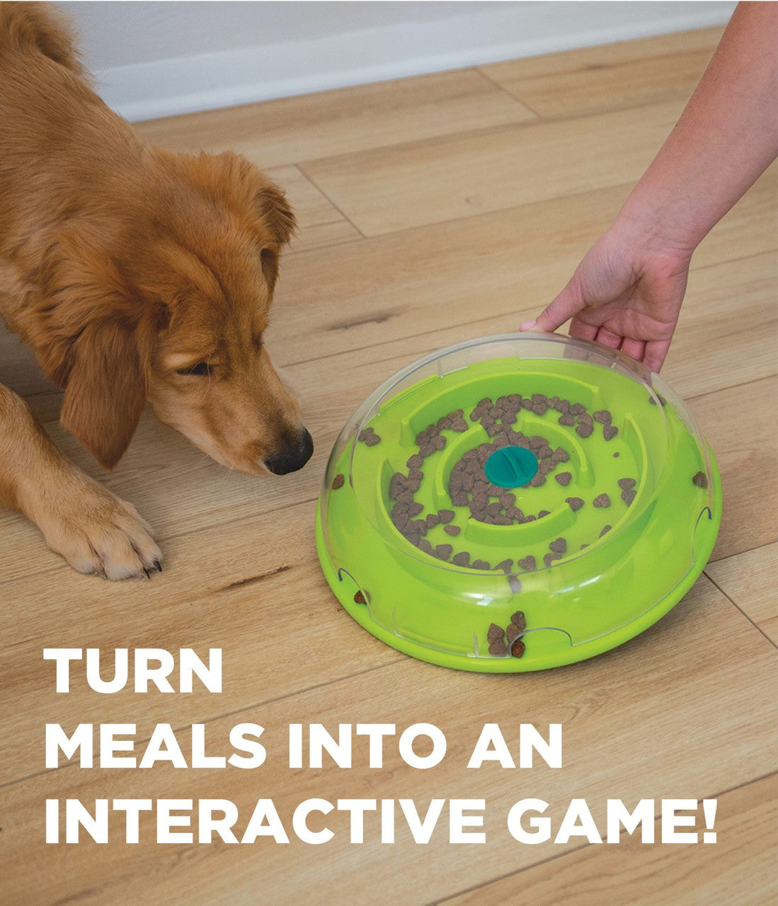 Outward Hound Wobble Bowl Interactive Treat Puzzle