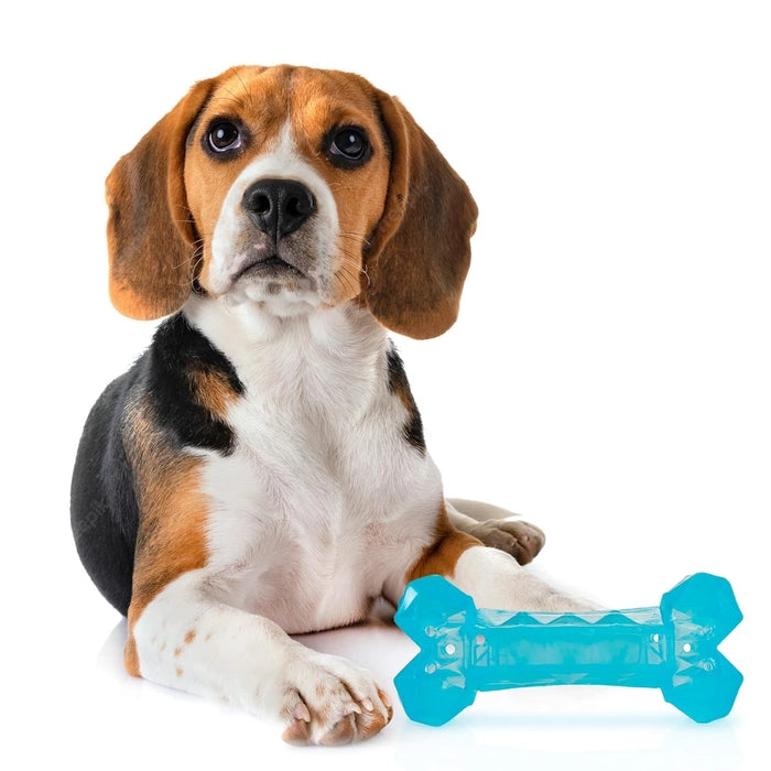 Fofos Cooling Dog Chew Toy