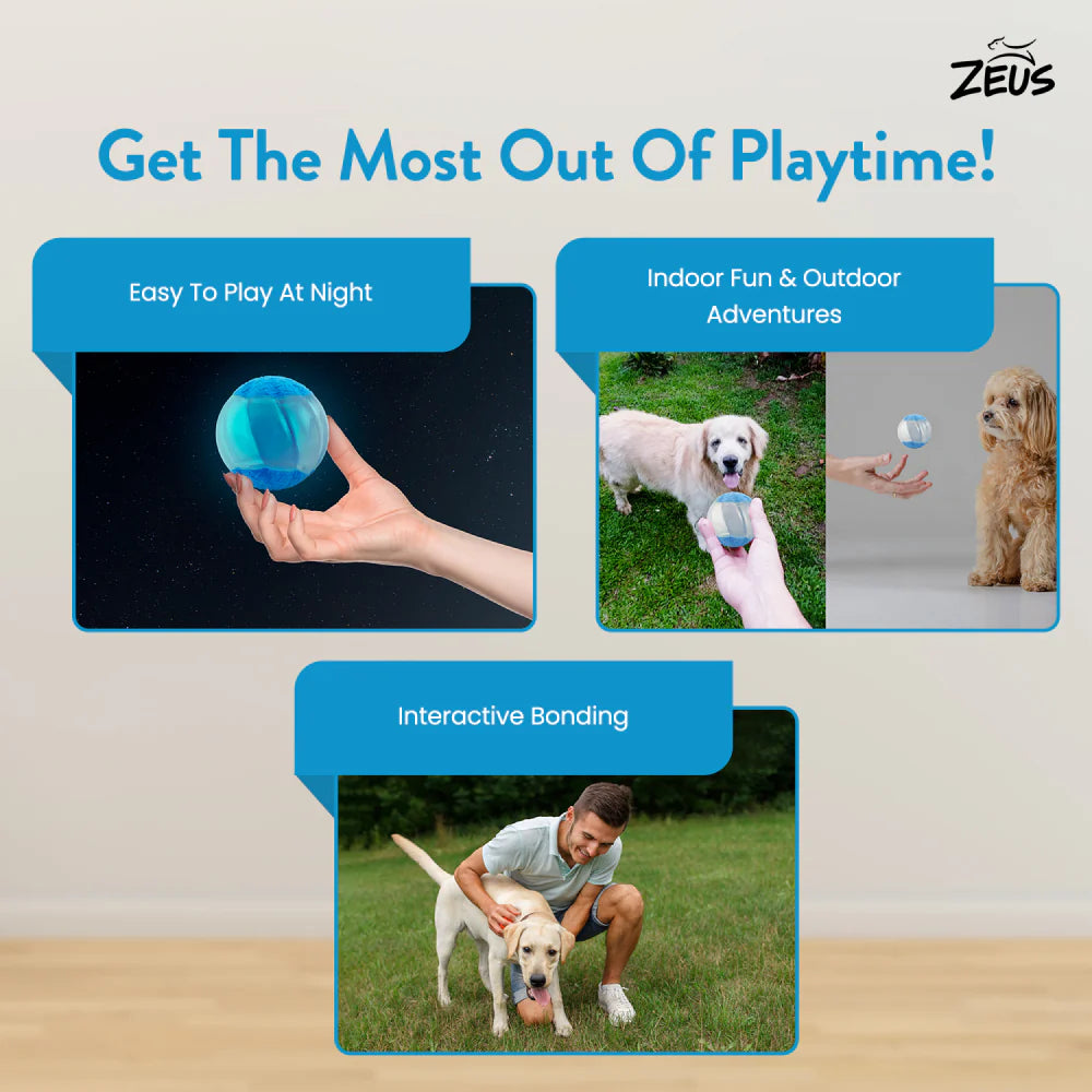 Zeus Duo Ball With Squeaker & Glow 2PK