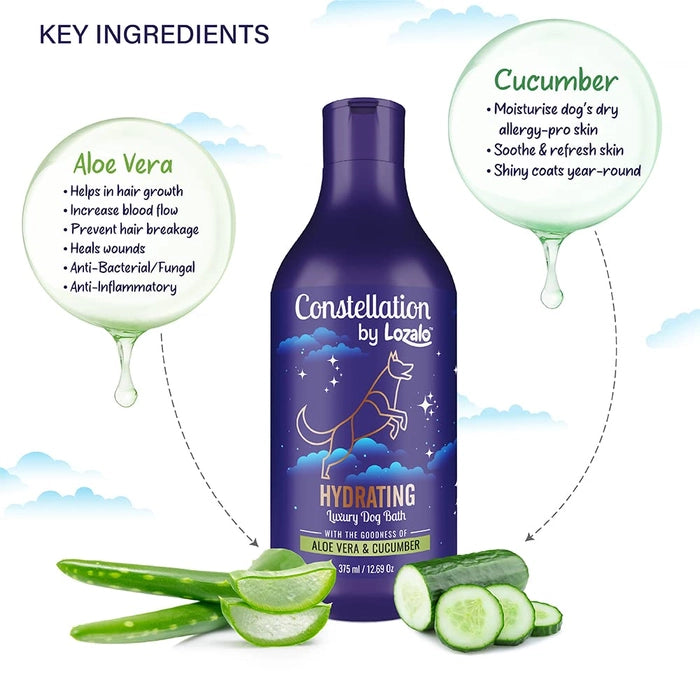 Lozalo Const Hydrating Dog Shampoo
