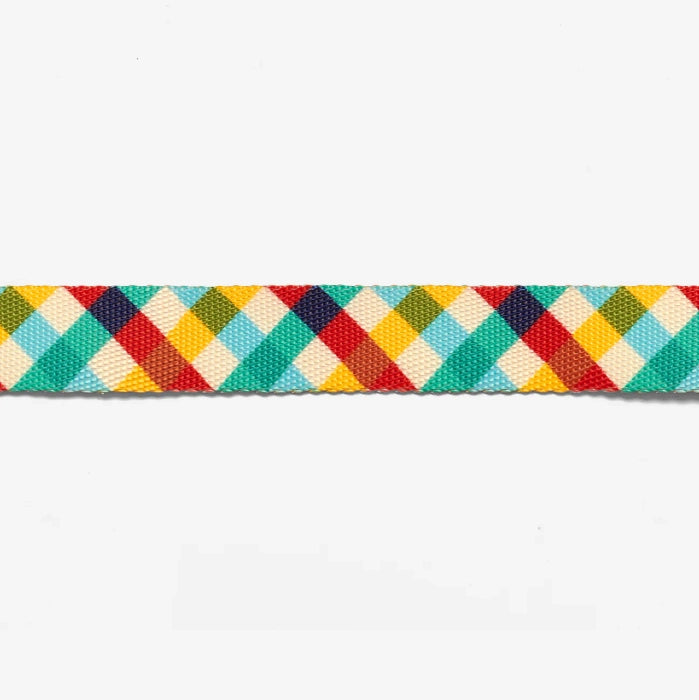 Zee Dog Collar for Dogs