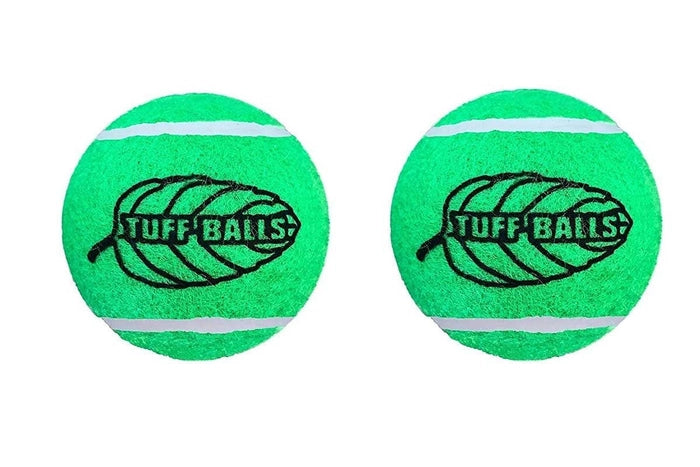 Petsport Mint Tuff Ball Dog Toy