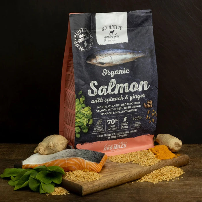 Go Native Salmon Dog Dry Food