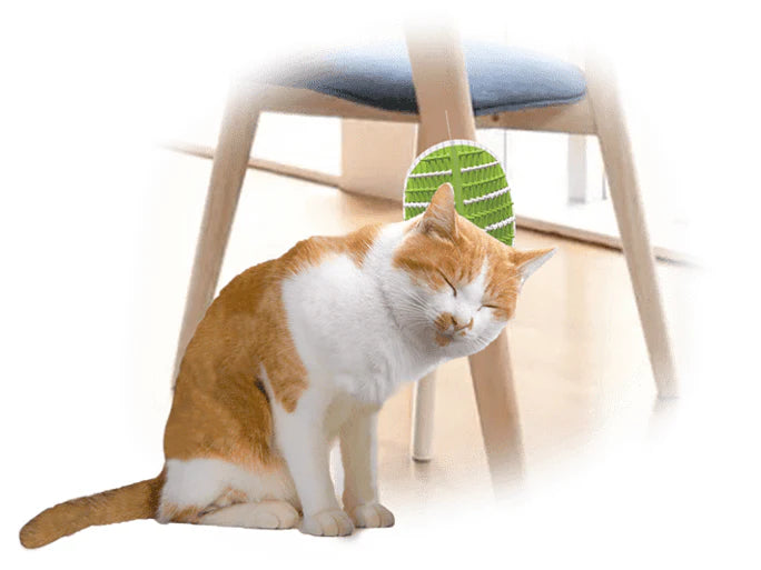 afp Lifestyle 4 Pet-2 In 1 Groomer