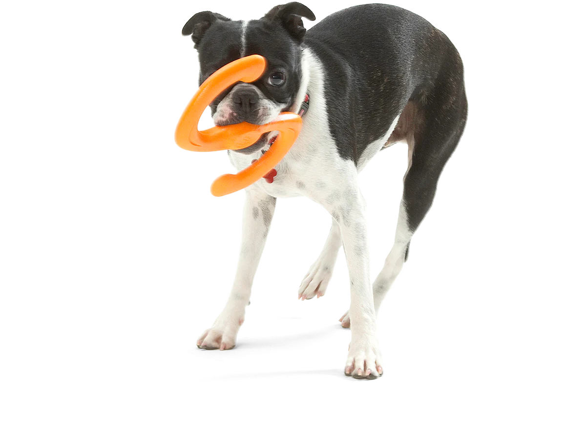 West Paw Bumi Dog Toys