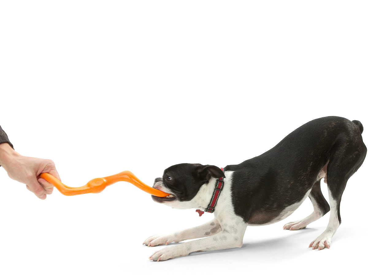 West Paw Bumi Dog Toys