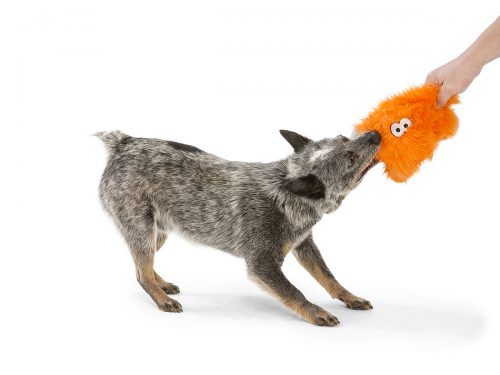 West Paw Zogoflex Rowdies Fergus Dog Toy