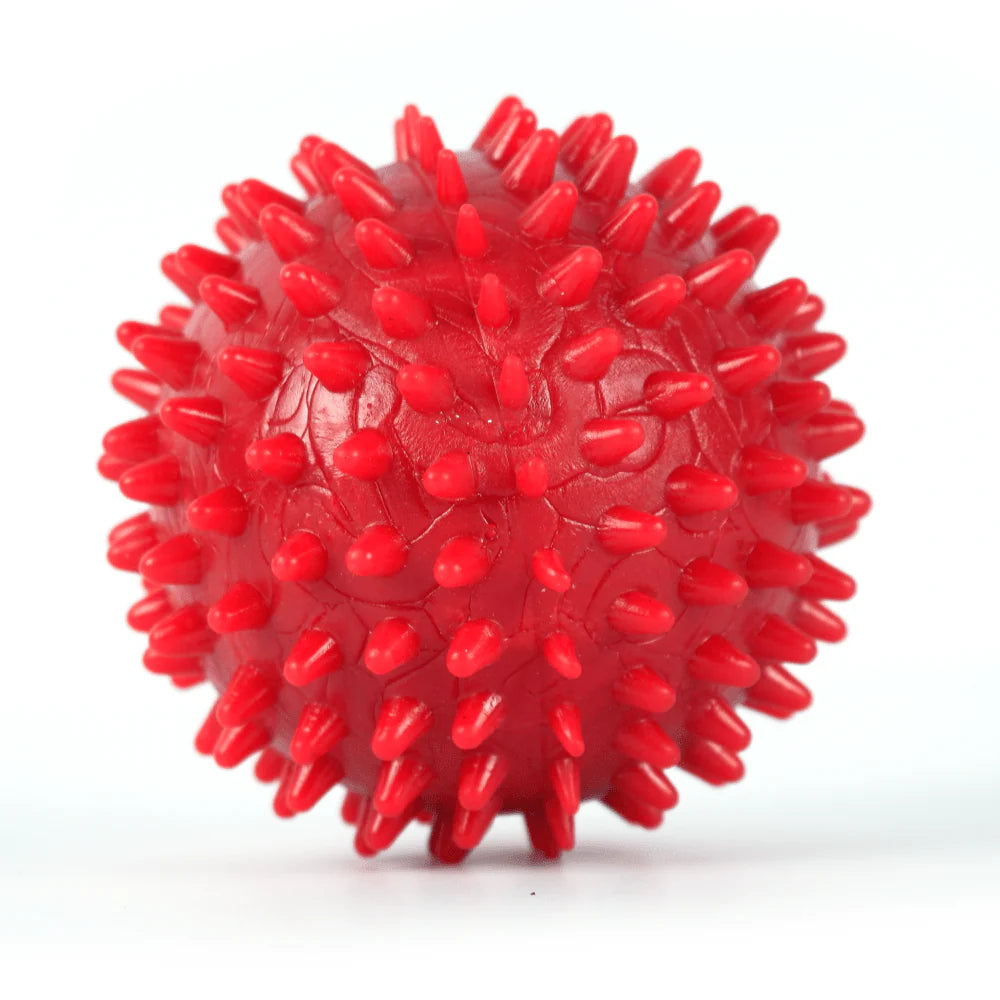 Drools Dog and Puppy Spike Hard Ball Toy