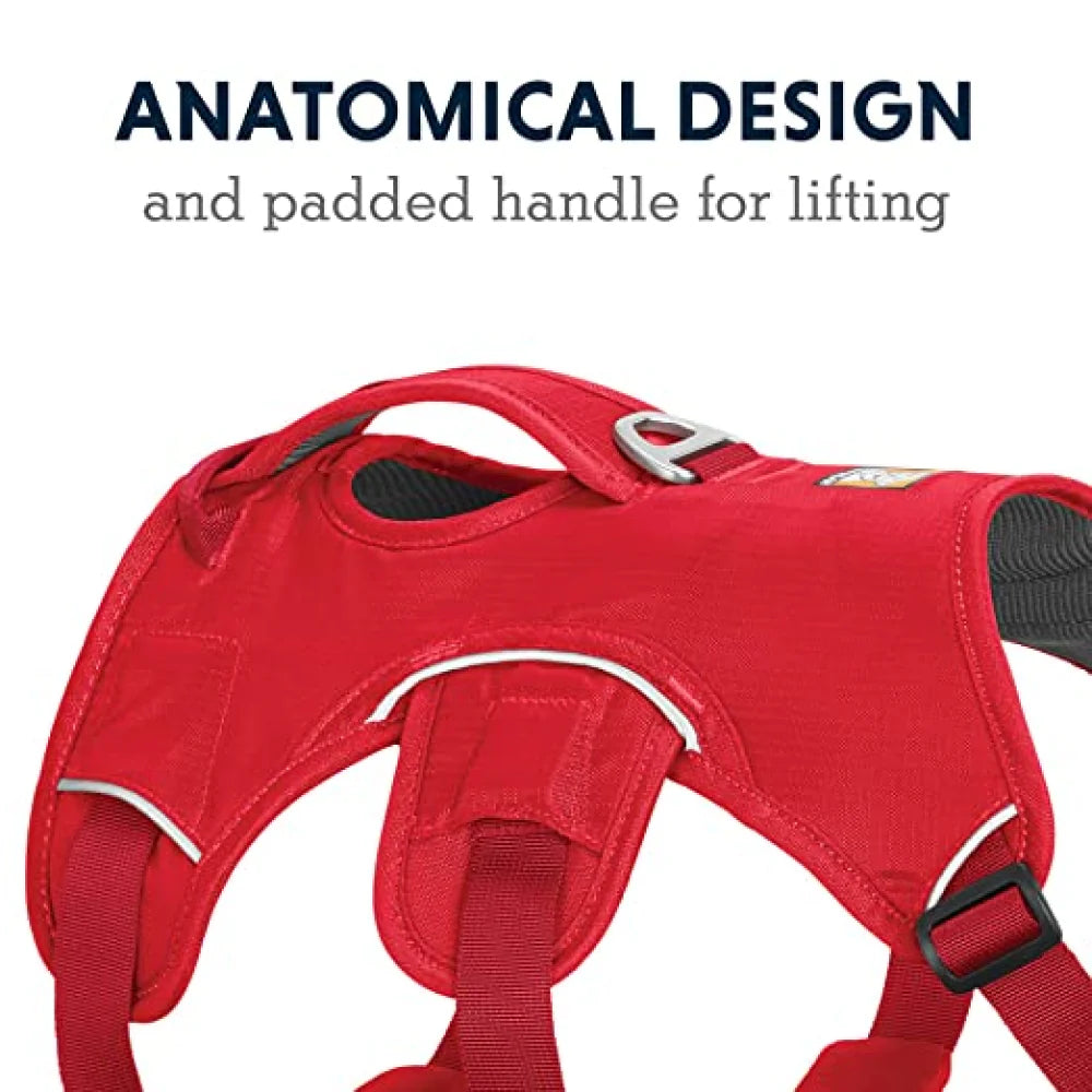 Ruffwear Webmaster Harness for Dogs
