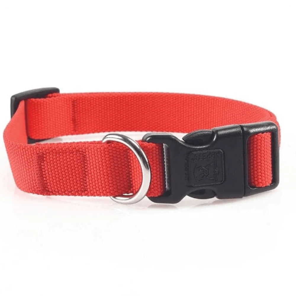 M-Pets Jolly Eco Collar for Dogs