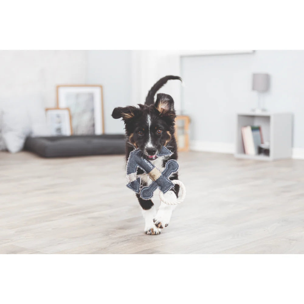 Trixie Be Nordic Anchor Toy for Dogs