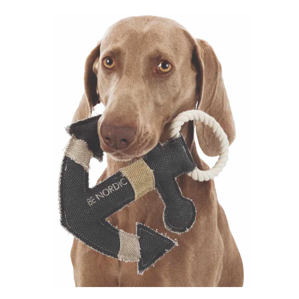 Trixie Be Nordic Anchor Toy for Dogs