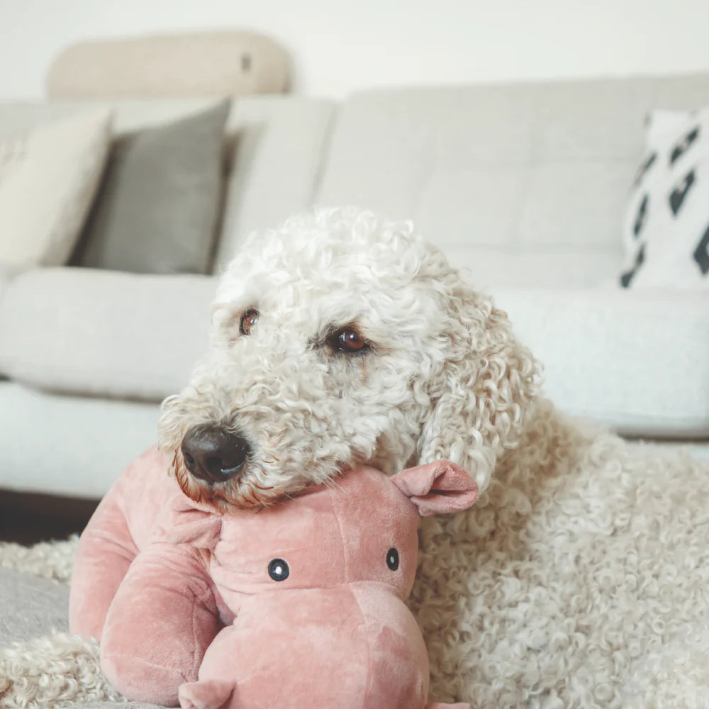 Trixie Hippo Plush Toy for Dogs