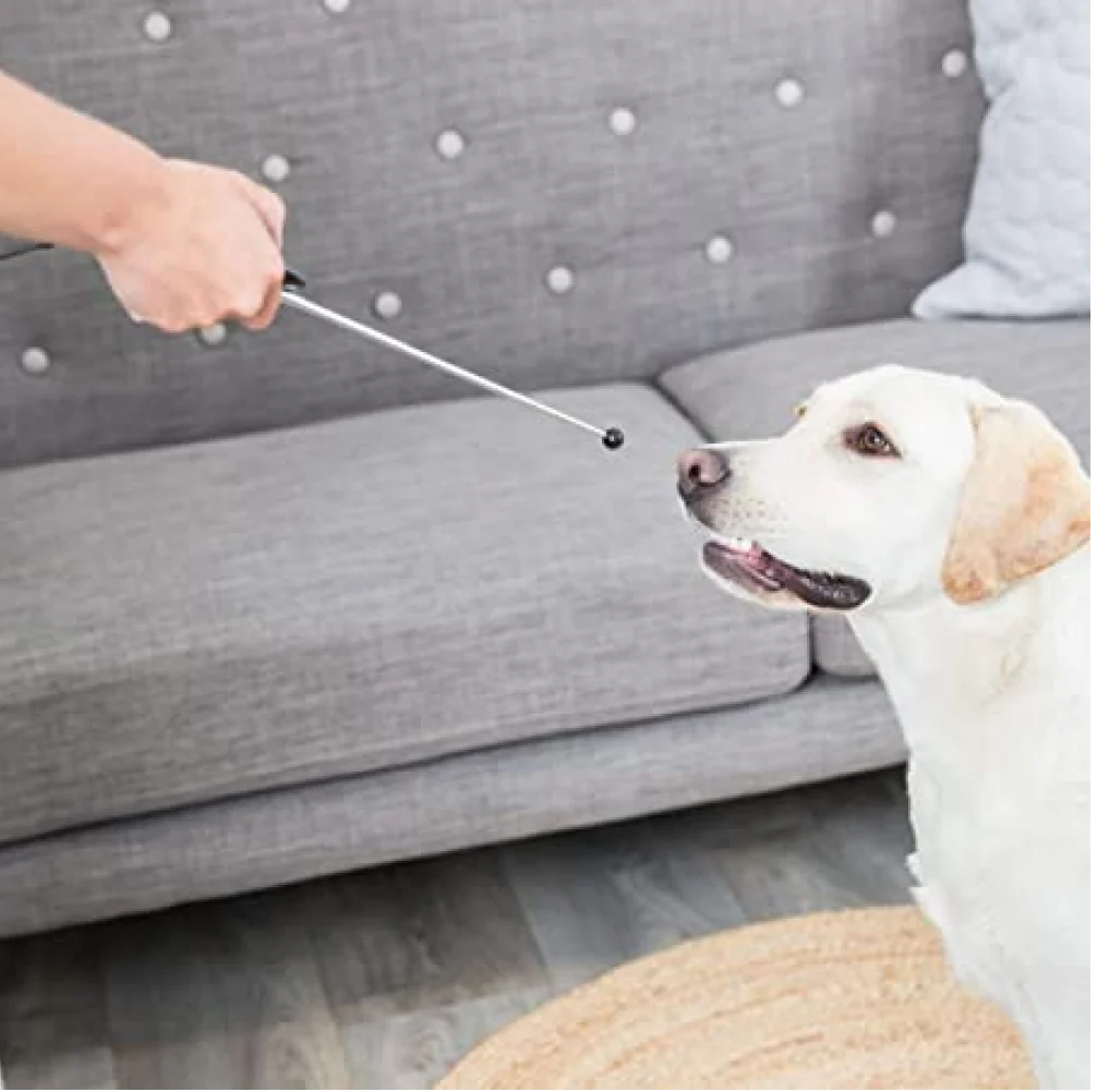 Trixie Target Stick with Clicker Button Retractable Toy for Dogs and Cats